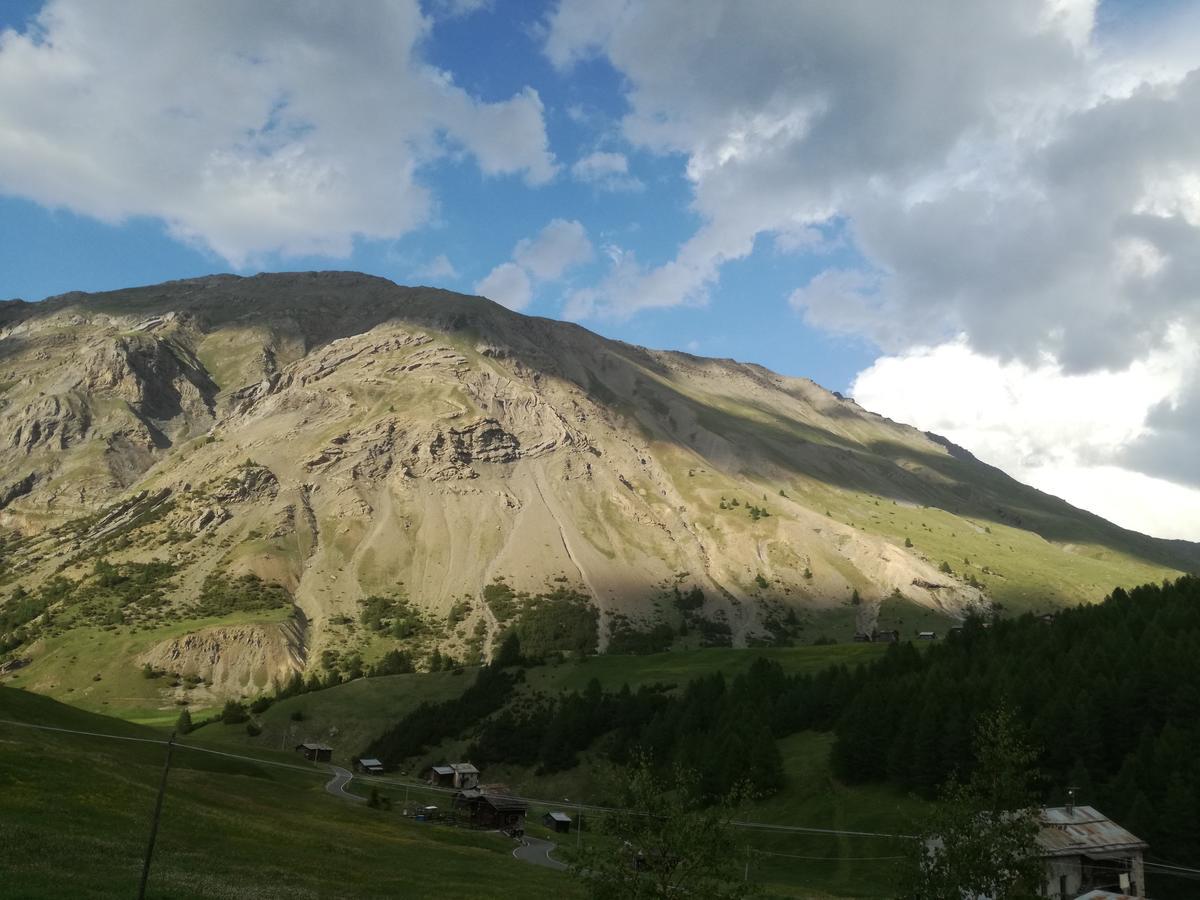 Bait De Angial Livigno